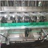 Automatic Servo Piston Liquid Filling Machine